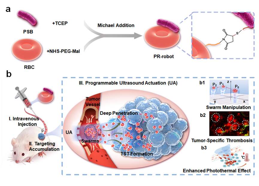 beat365在线体育app