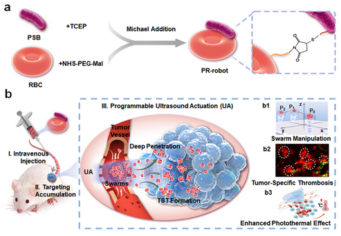 beat365在线体育app