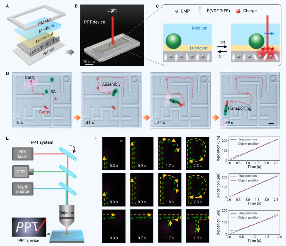 beat365在线体育app