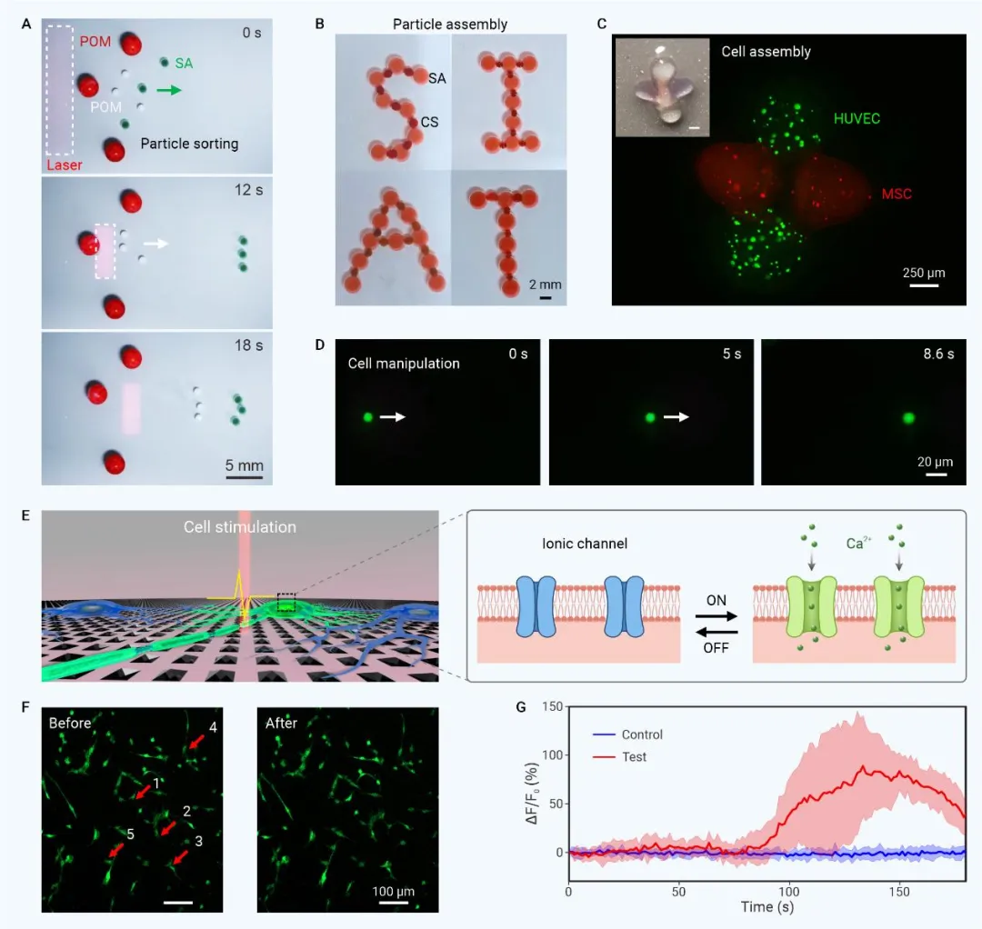 beat365在线体育app