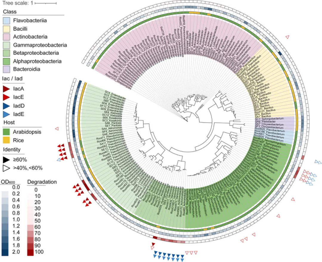 beat365在线体育app
