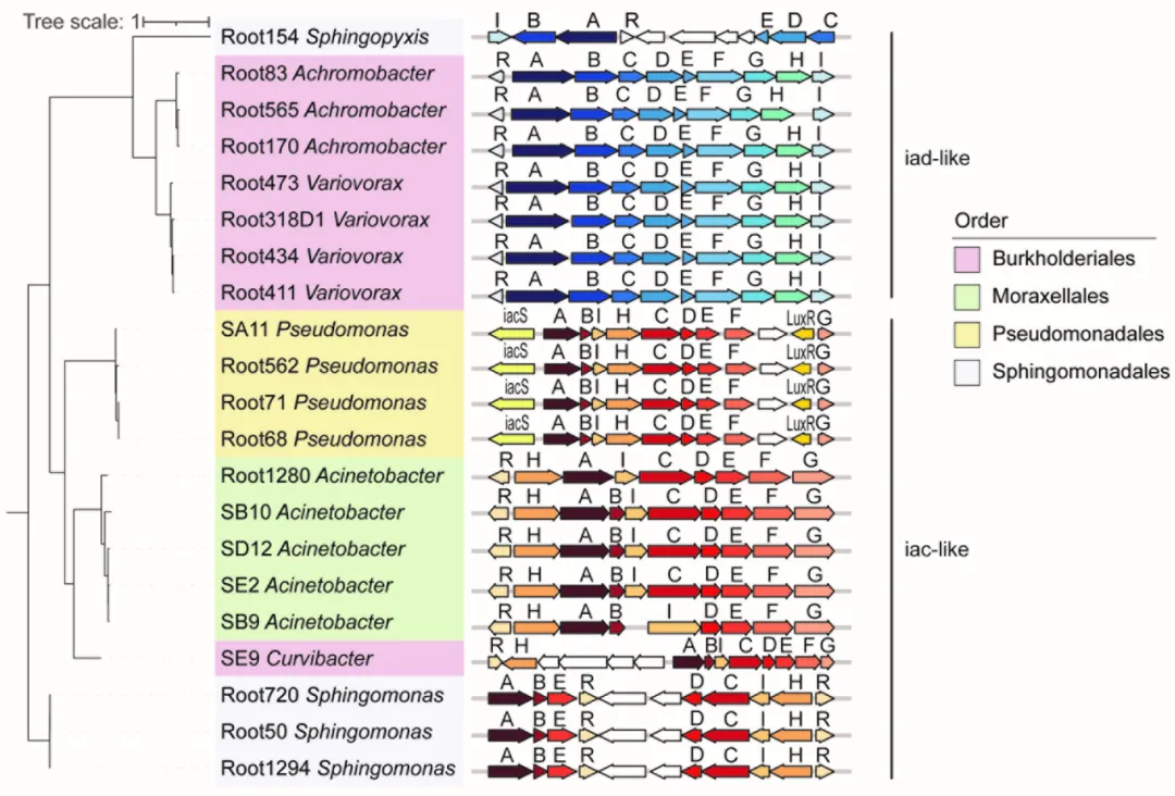 beat365在线体育app