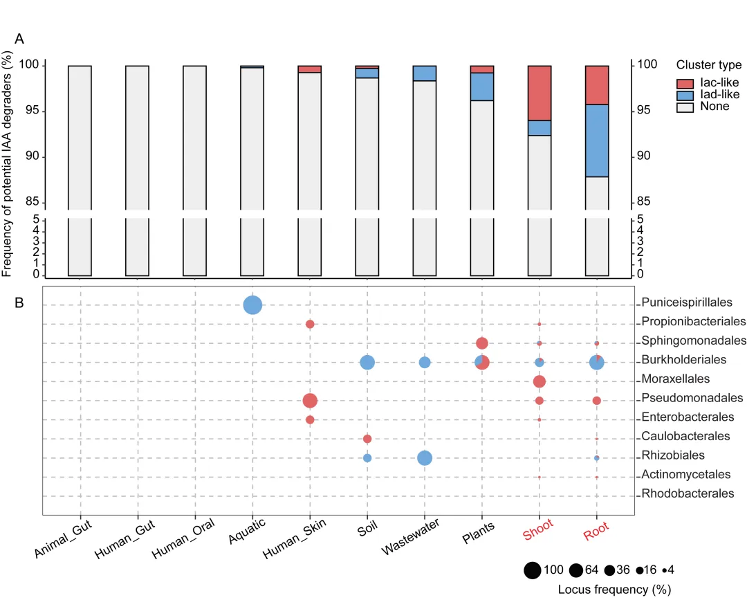 beat365在线体育app