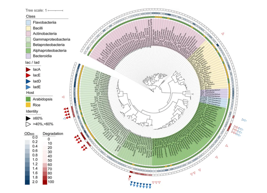 beat365在线体育app