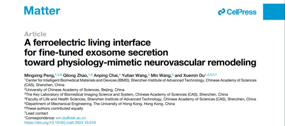 beat365在线体育app
