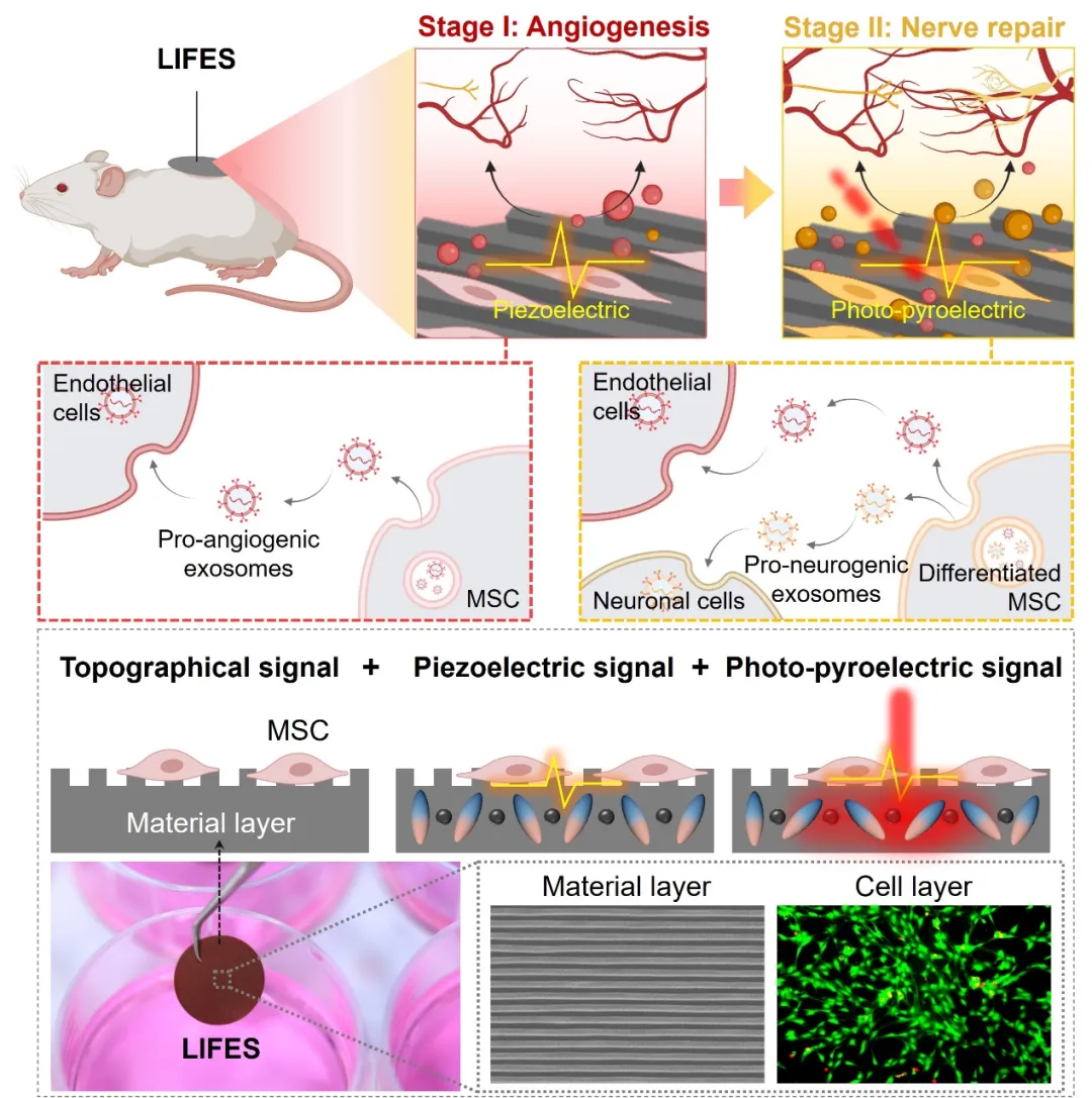beat365在线体育app