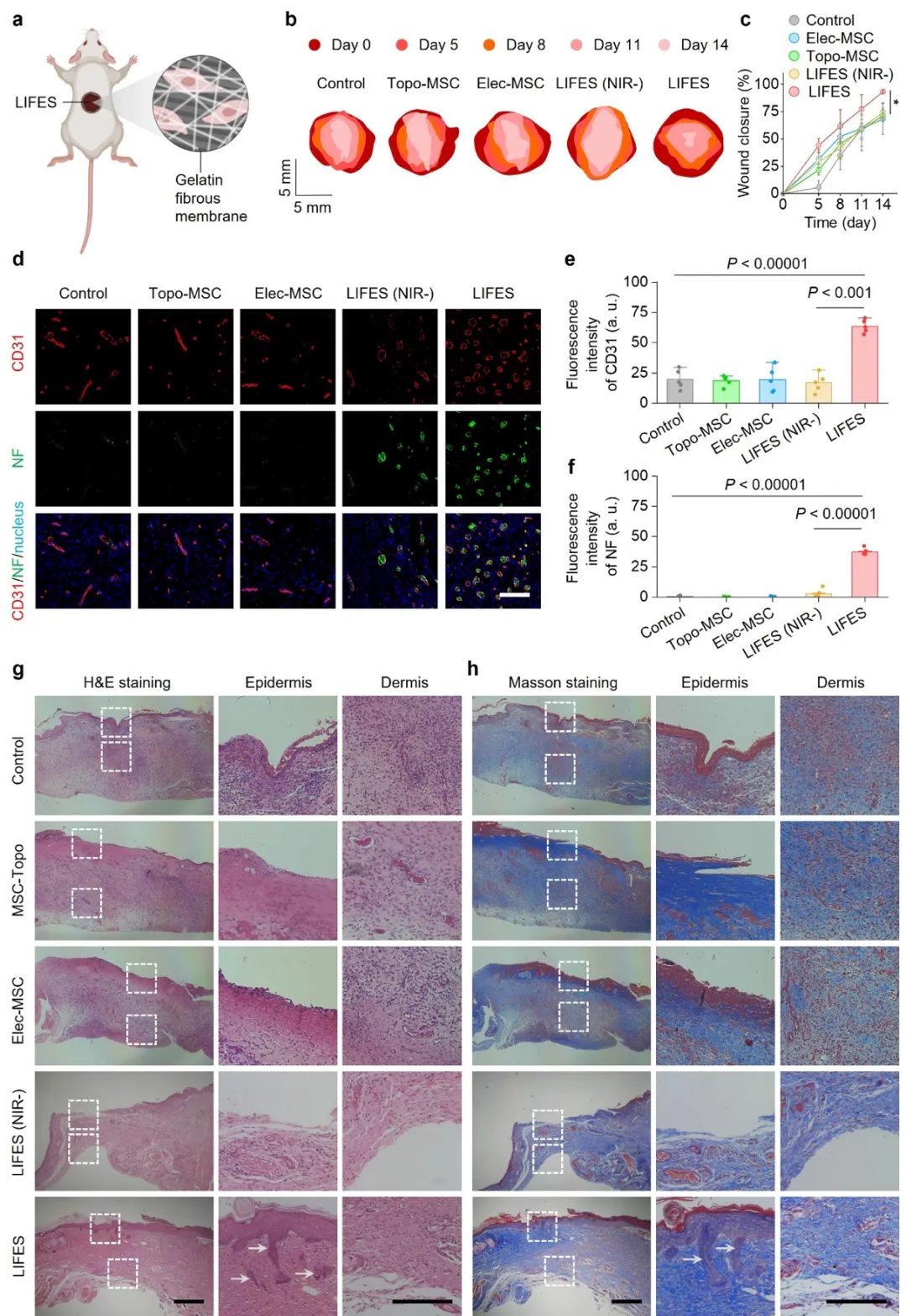 beat365在线体育app