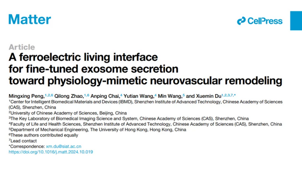 beat365在线体育app