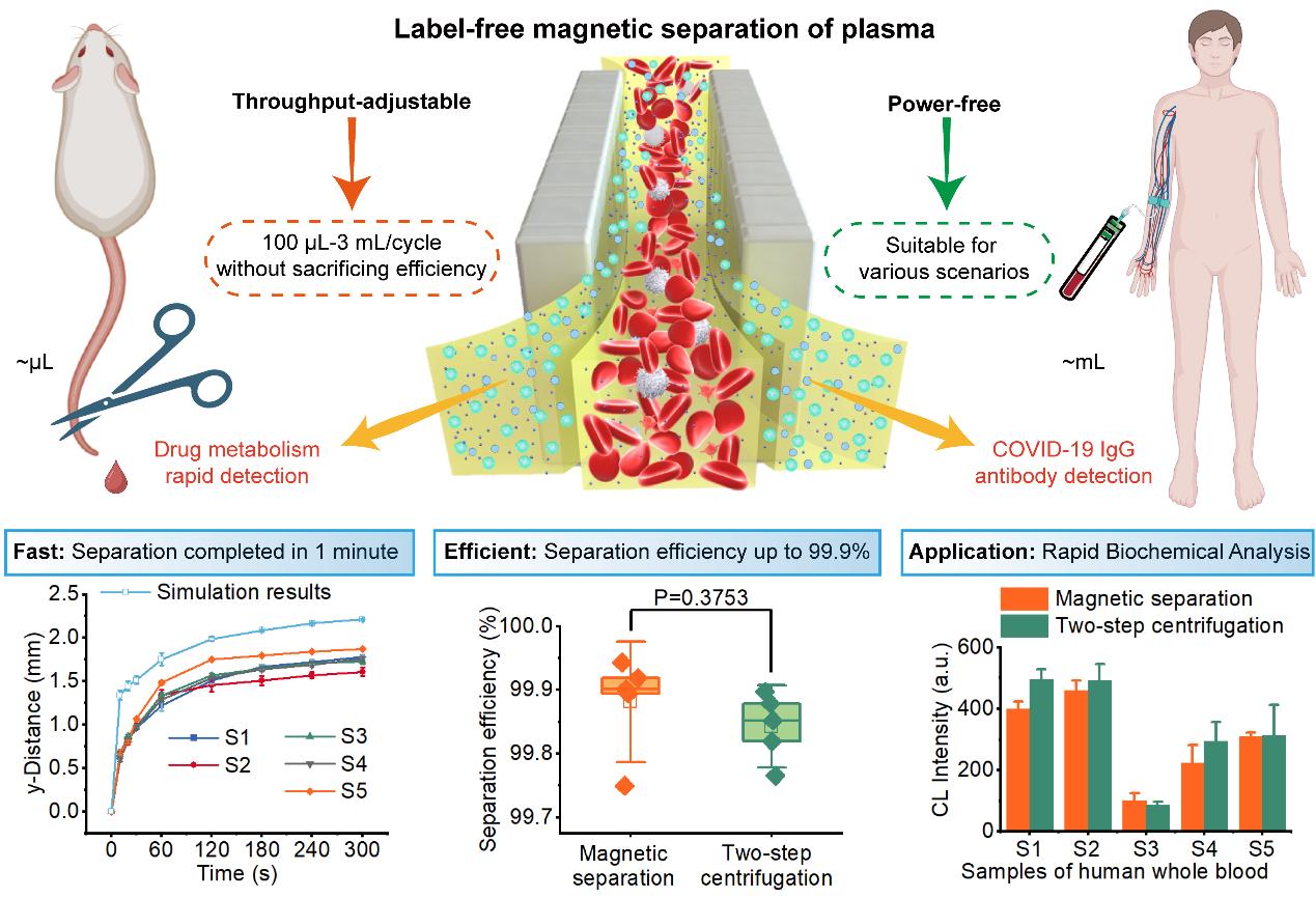 beat365在线体育app