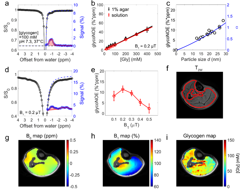 beat365在线体育app