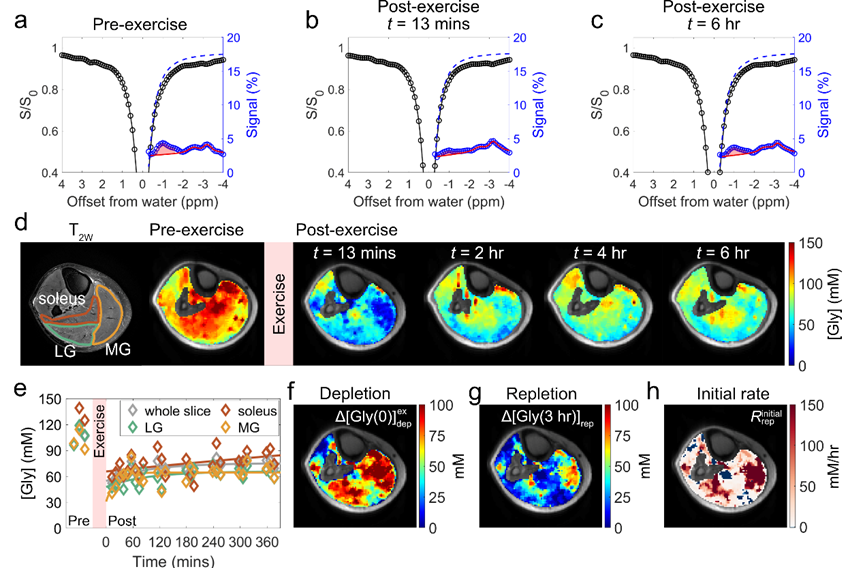 beat365在线体育app