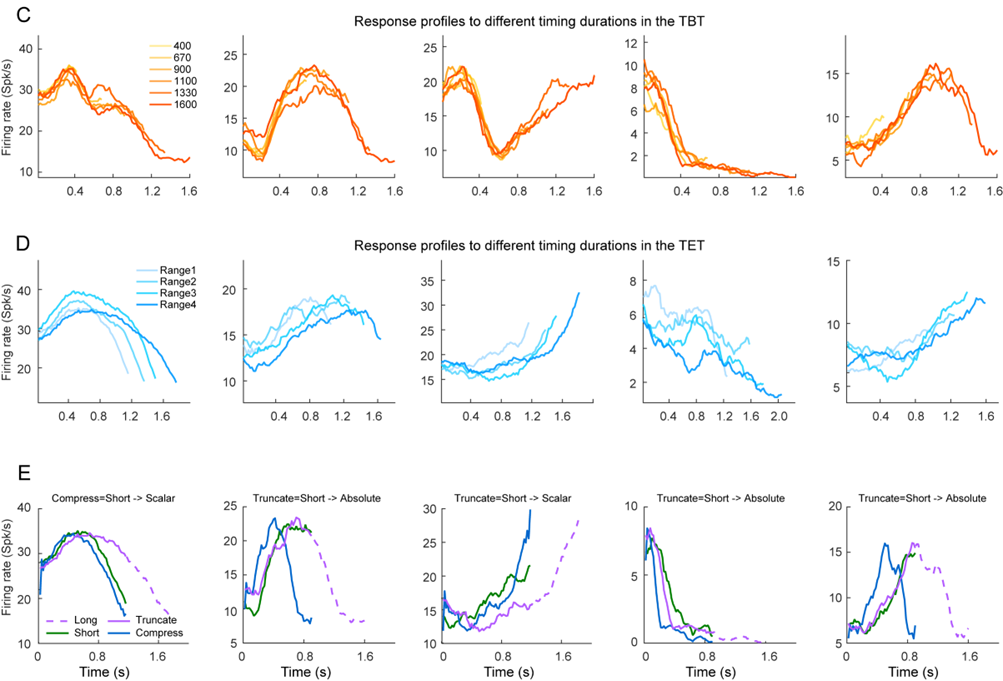 beat365在线体育app