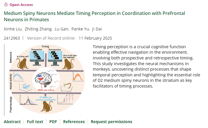 beat365在线体育app