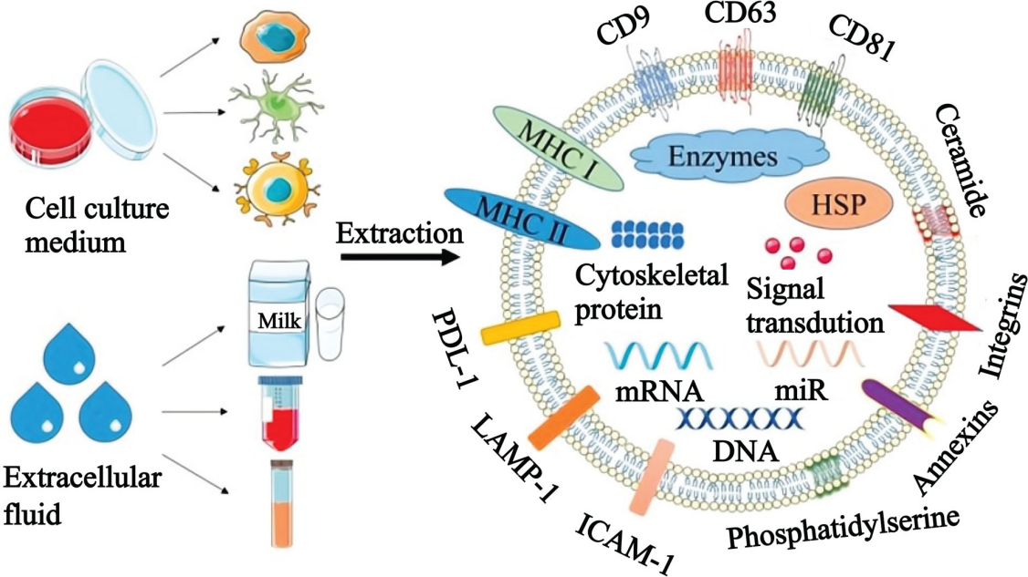 beat365在线体育app