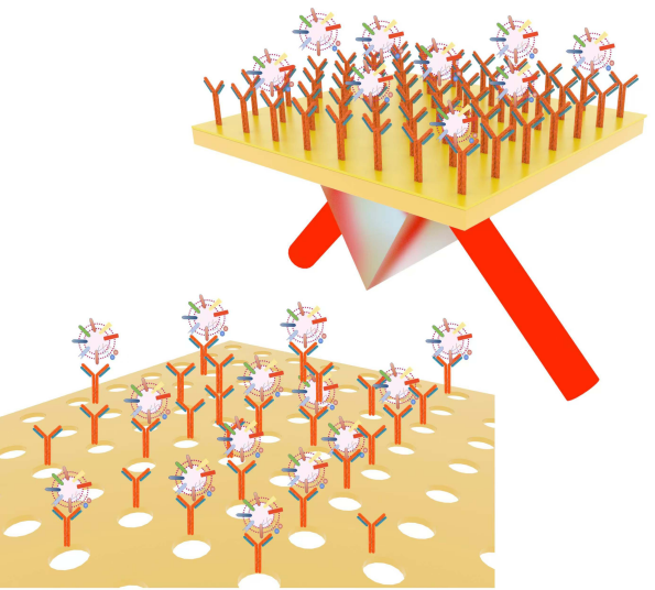 beat365在线体育app