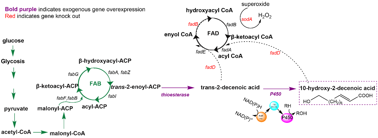 beat365在线体育app
