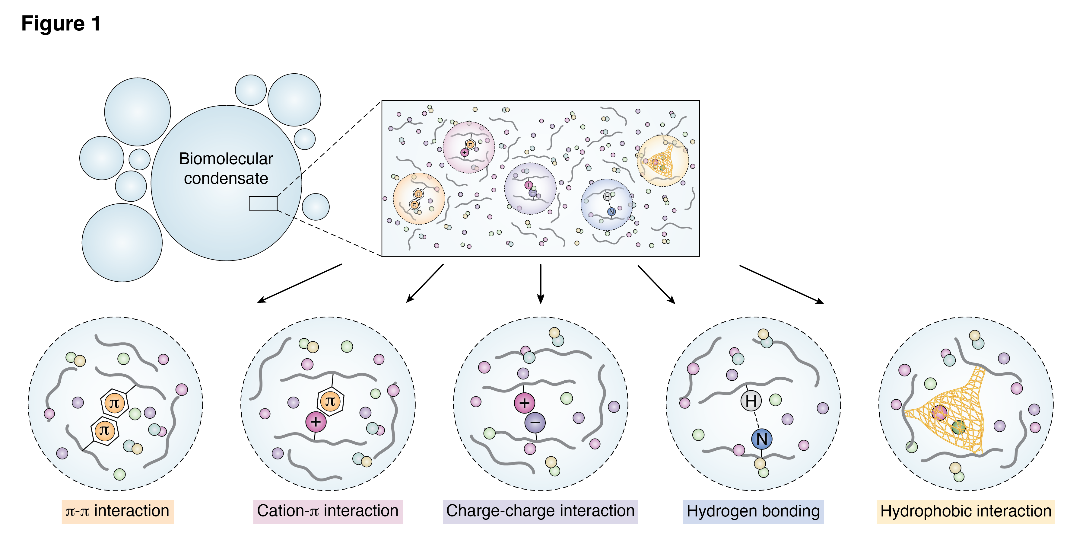beat365在线体育app