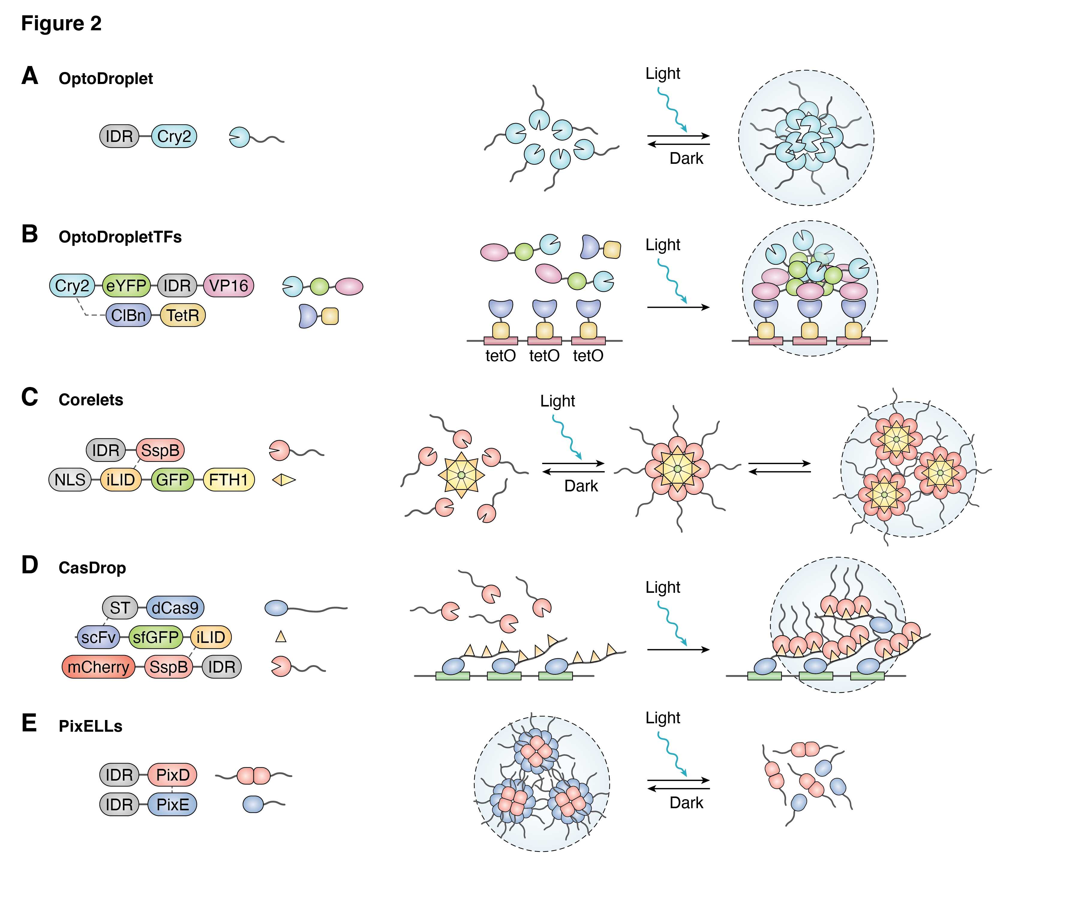 beat365在线体育app