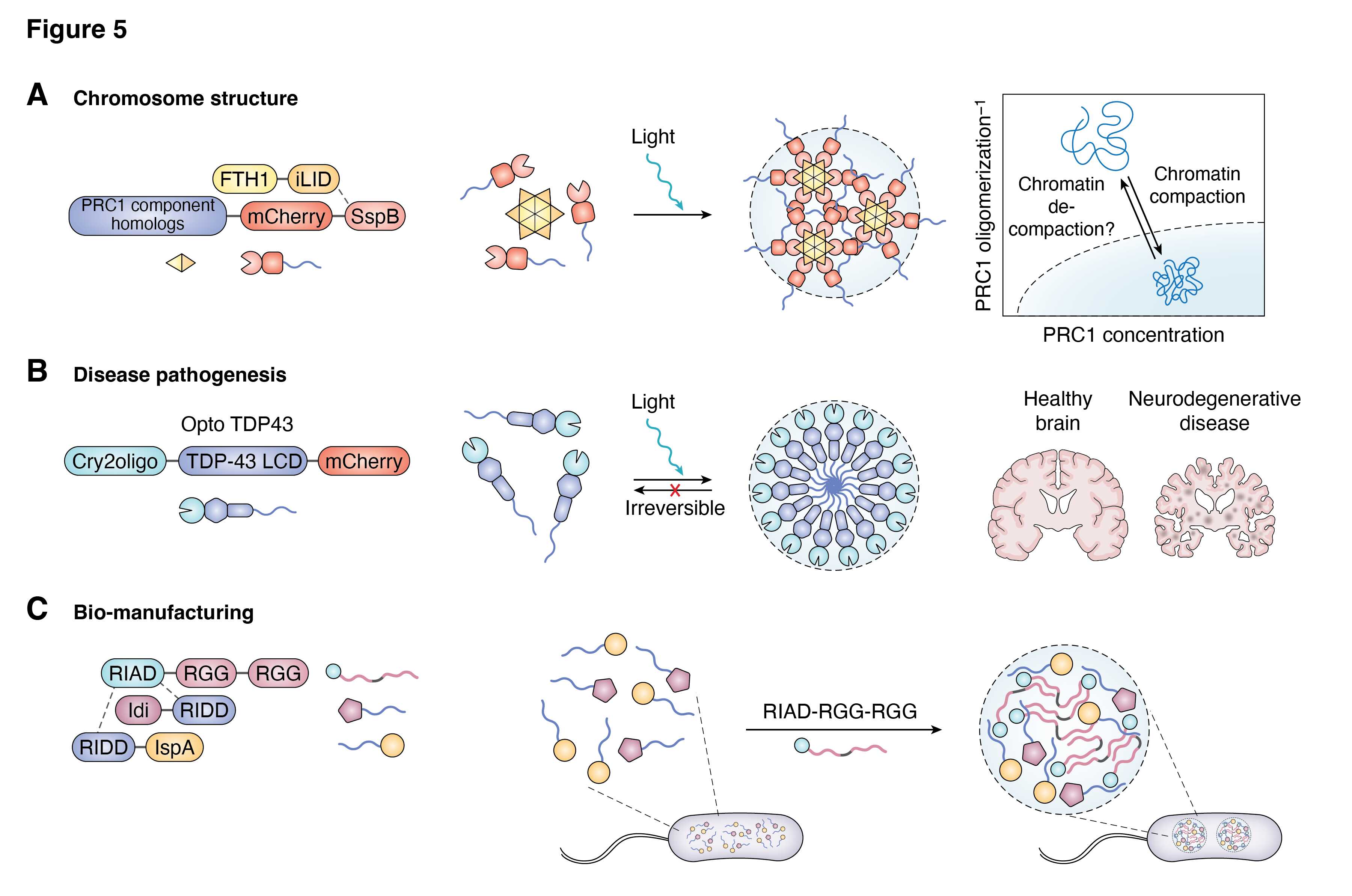 beat365在线体育app