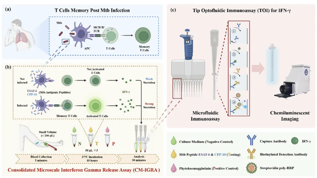 beat365在线体育app
