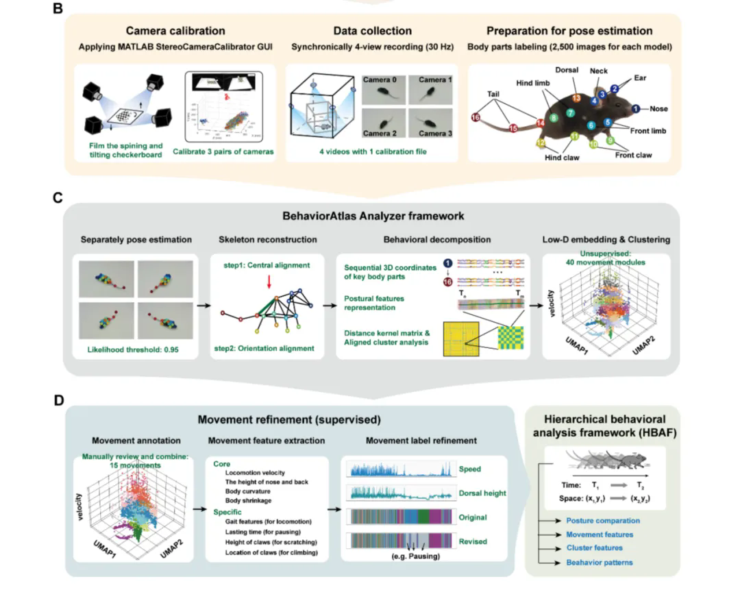 beat365在线体育app