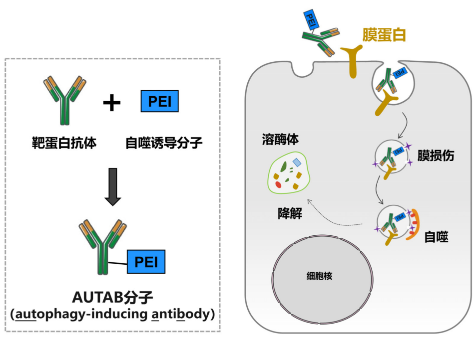 beat365在线体育app