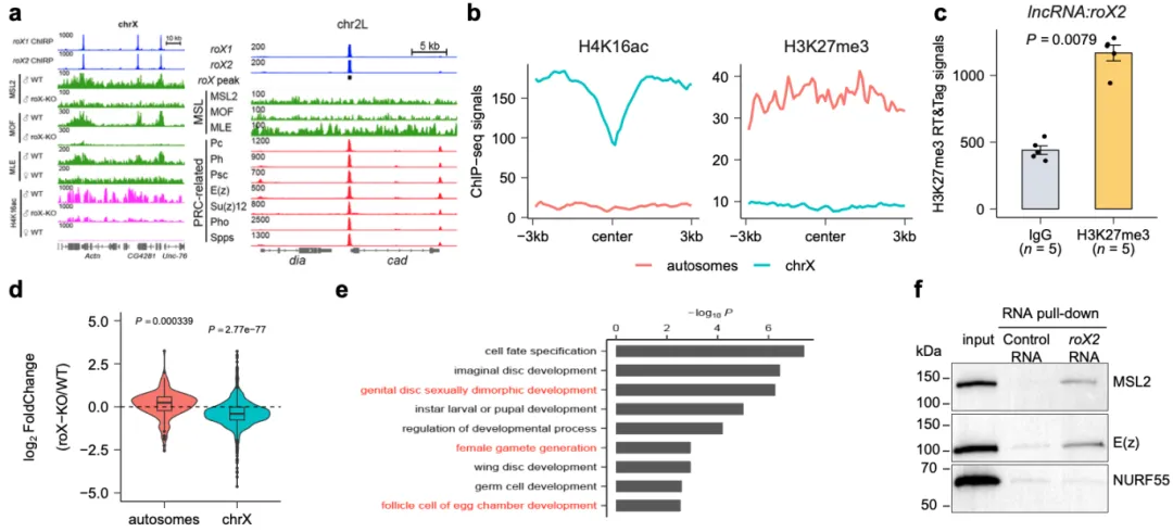 beat365在线体育app