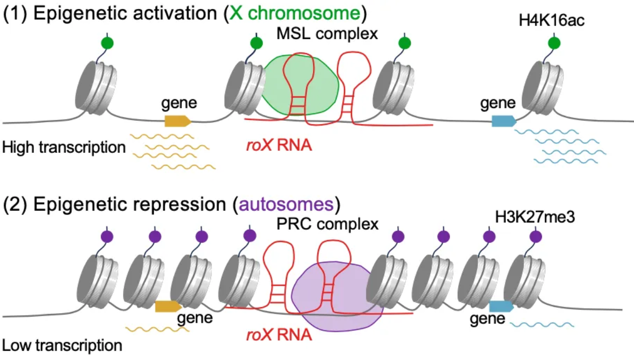 beat365在线体育app