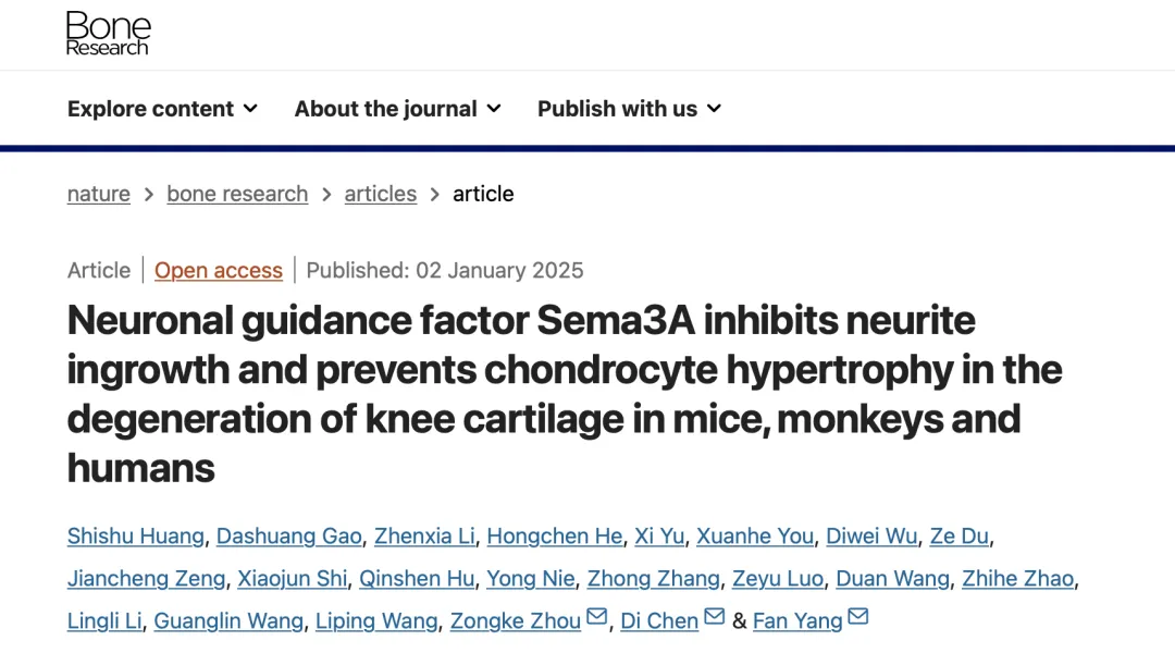 beat365在线体育app