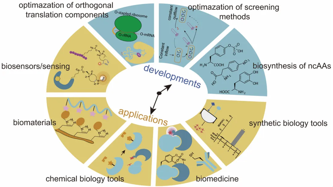 beat365在线体育app