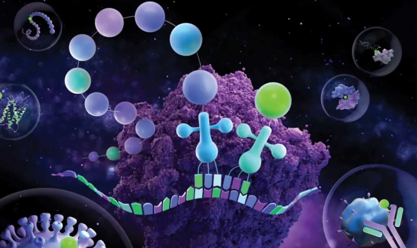 beat365在线体育app