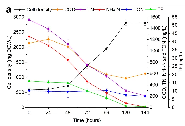 beat365在线体育app