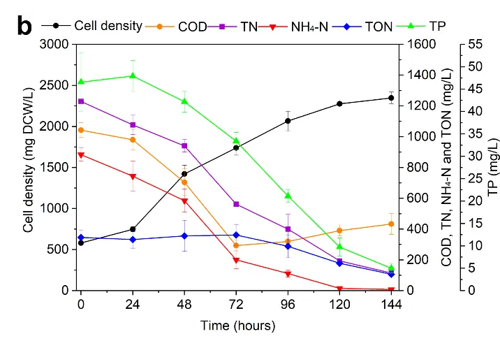 beat365在线体育app