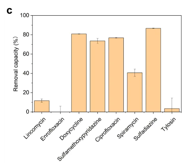 beat365在线体育app