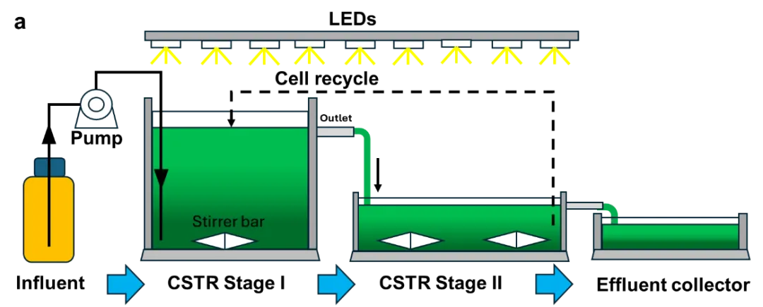 beat365在线体育app