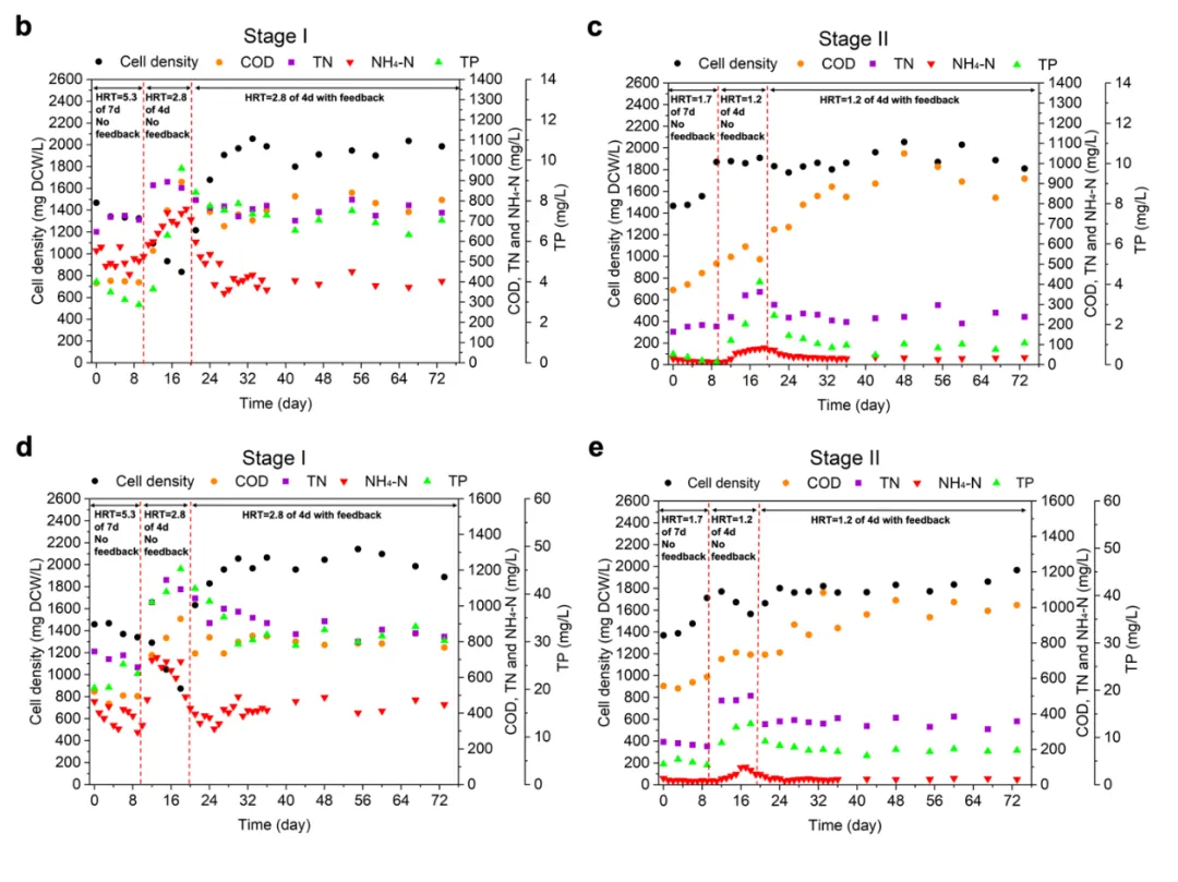 beat365在线体育app