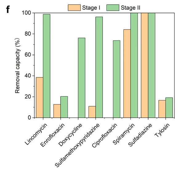 beat365在线体育app