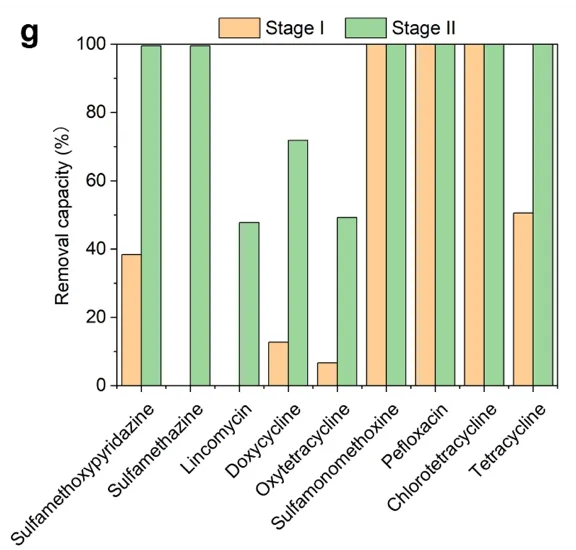 beat365在线体育app