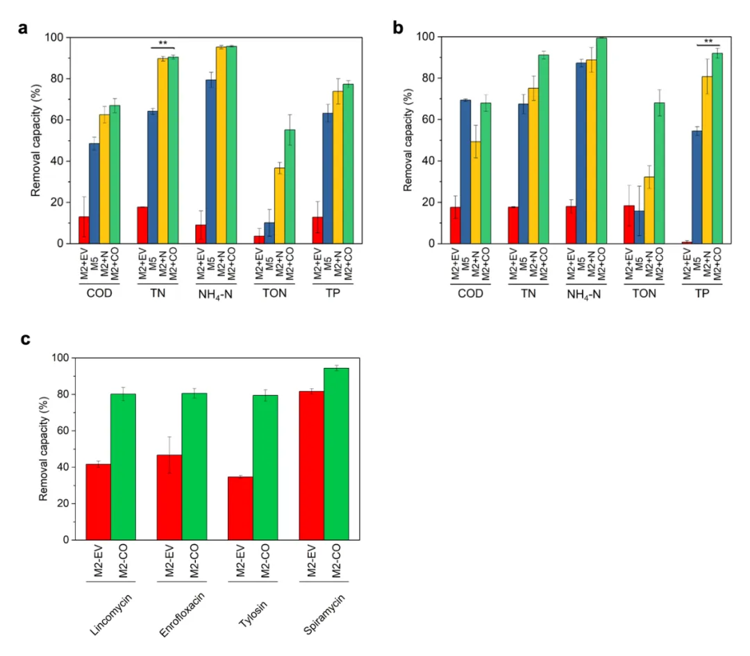 beat365在线体育app