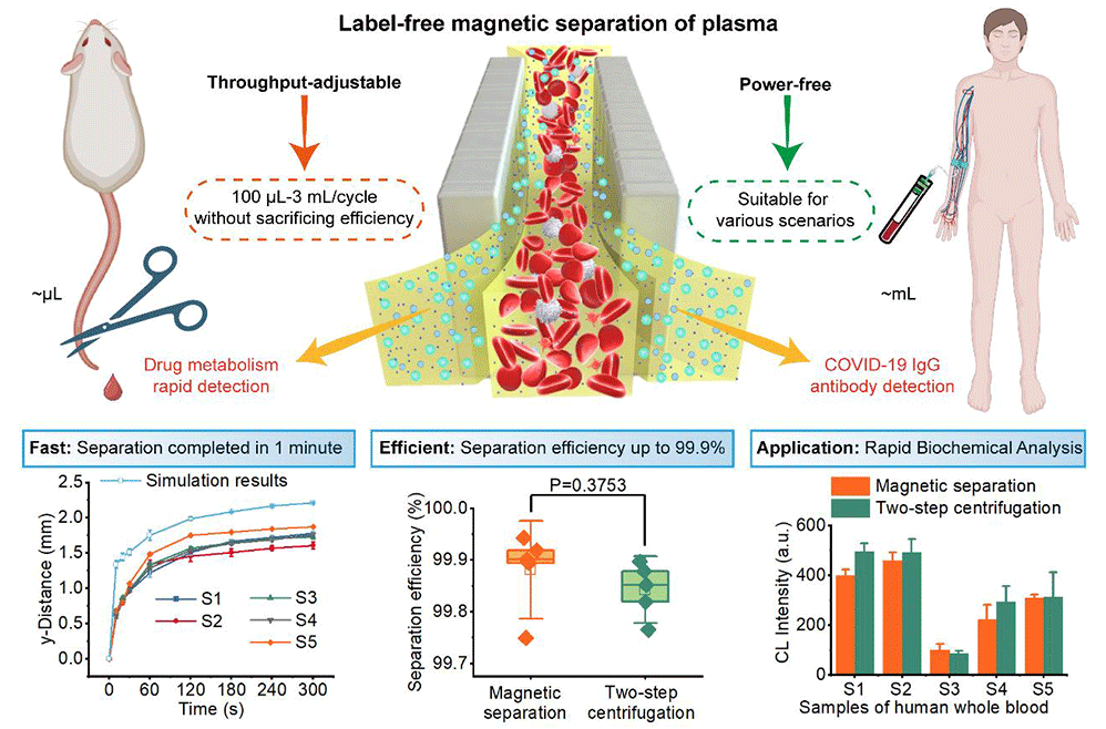 beat365在线体育app