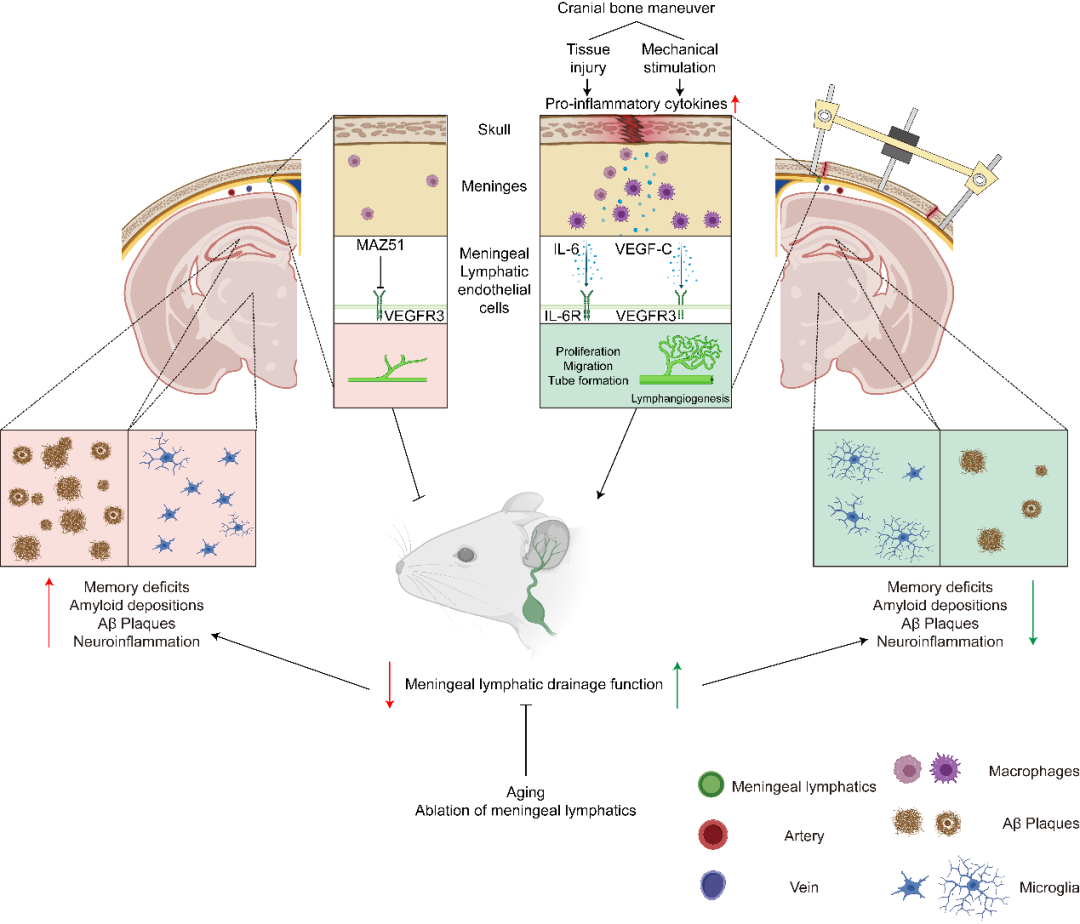 beat365在线体育app