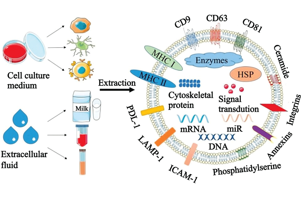 beat365在线体育app