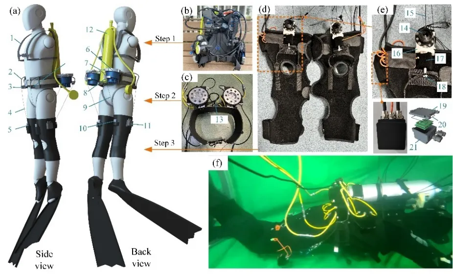 beat365在线体育app