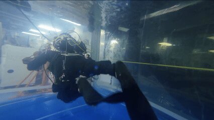 beat365在线体育app