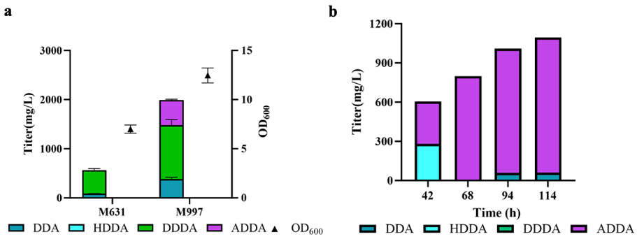 beat365在线体育app