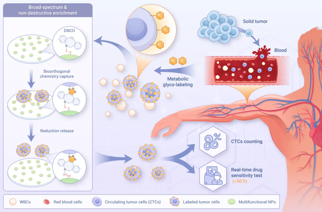 beat365在线体育app
