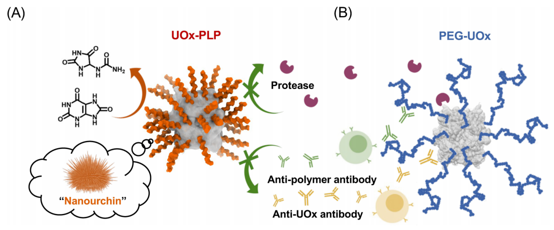 beat365在线体育app