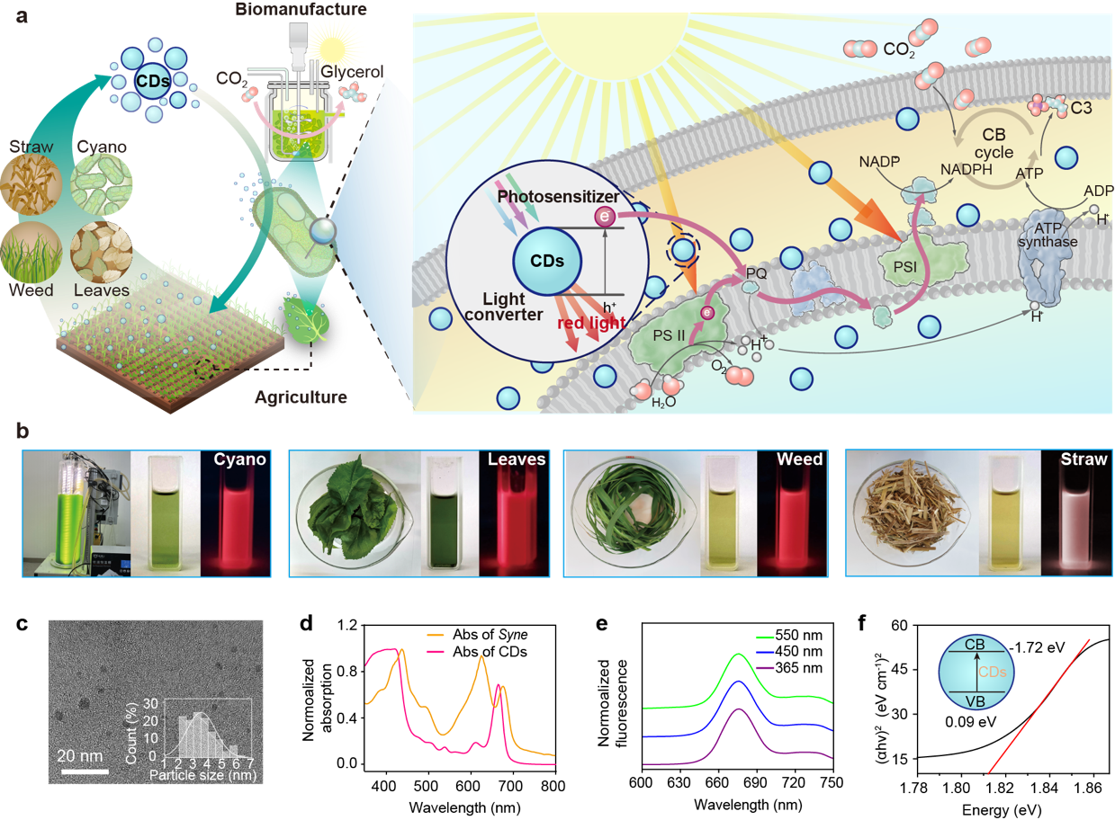 beat365在线体育app