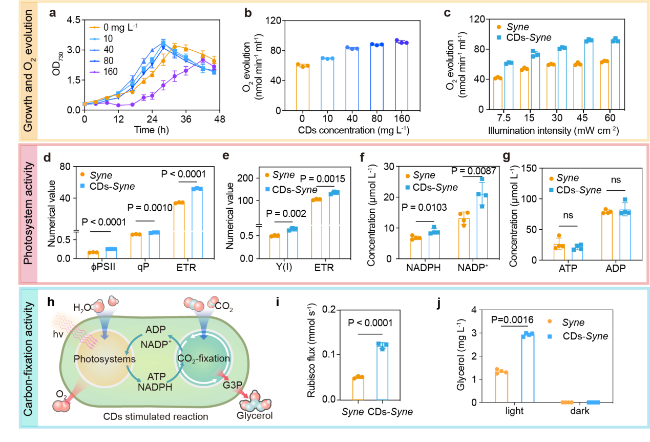beat365在线体育app