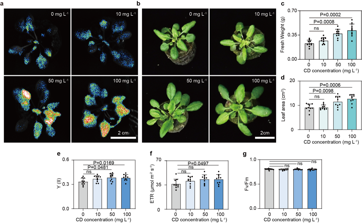 beat365在线体育app